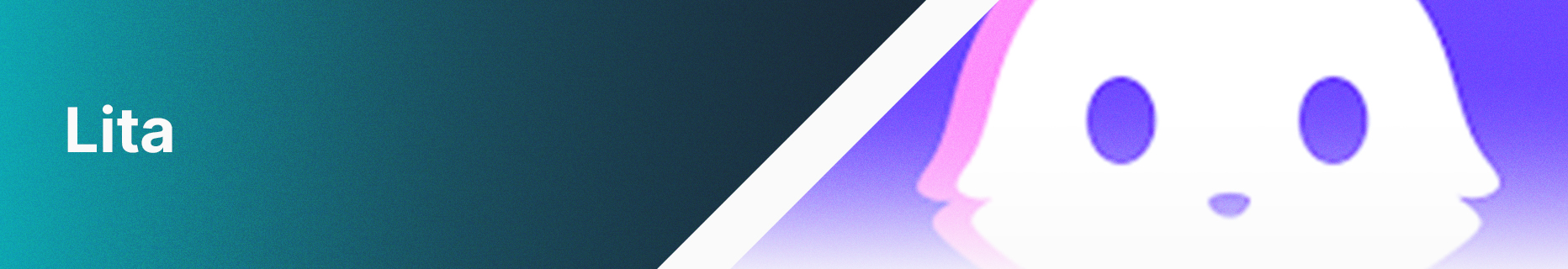 Lita banner
